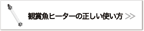 観賞魚ヒーターの正しい使い方