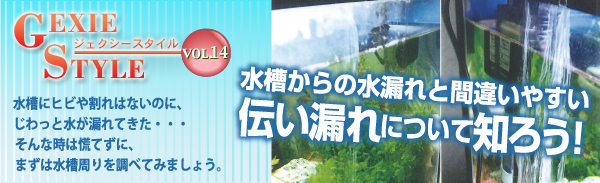 水槽からの水漏れと間違いやすい伝い漏れについて知ろう