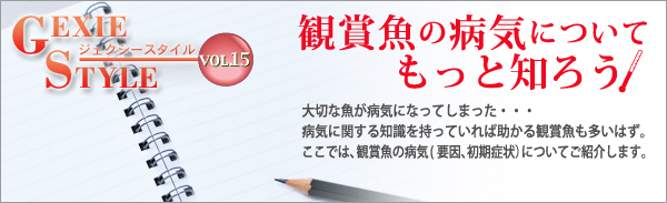 観賞魚の病気についてもっと知ろう！　大切な魚が病気になってしまった...。病気に関する知識を持っていれば助かる観賞魚も多いはず。ここでは、観賞魚の病気（要因、初期症状）についてご紹介します。