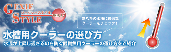 あなたの水槽に最適なクーラーをチェック！「水槽用クーラーの選び方」　水温が上昇し過ぎるのを防ぐ観賞魚用クーラーの選び方を紹介