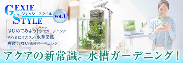 失敗しない水槽ガーデニング