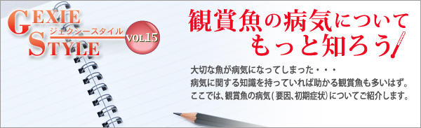 【美品】観賞魚マニュアル　病気の診断と治療 新魚病図鑑 第3版 株式会社 緑書房