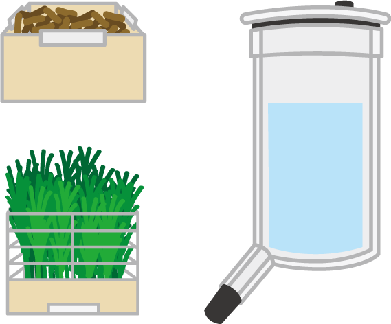うさぎ］ ラビんぐ 食器・給水器について