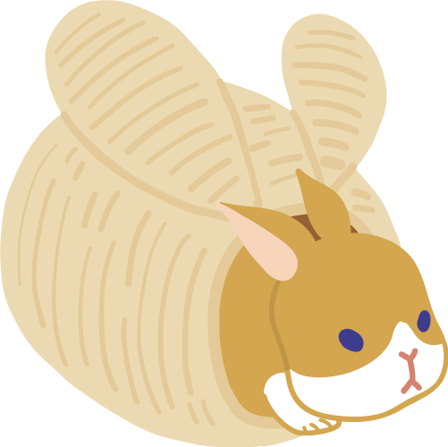 うさぎ用マットやハウスの選び方