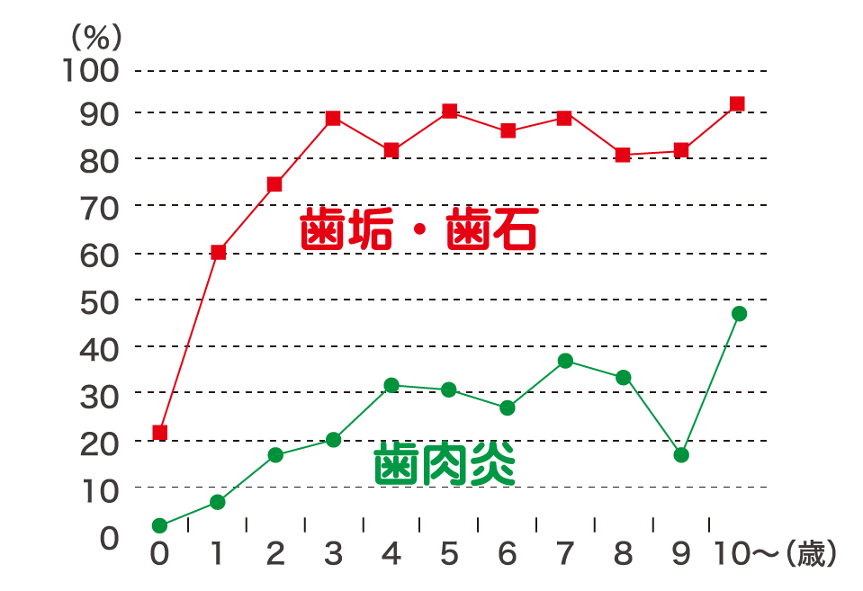 ■歯科検診結果