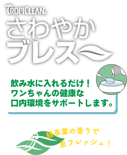 飲み水に入れるだけ！ワンちゃんの健康な口内環境をサポートします。