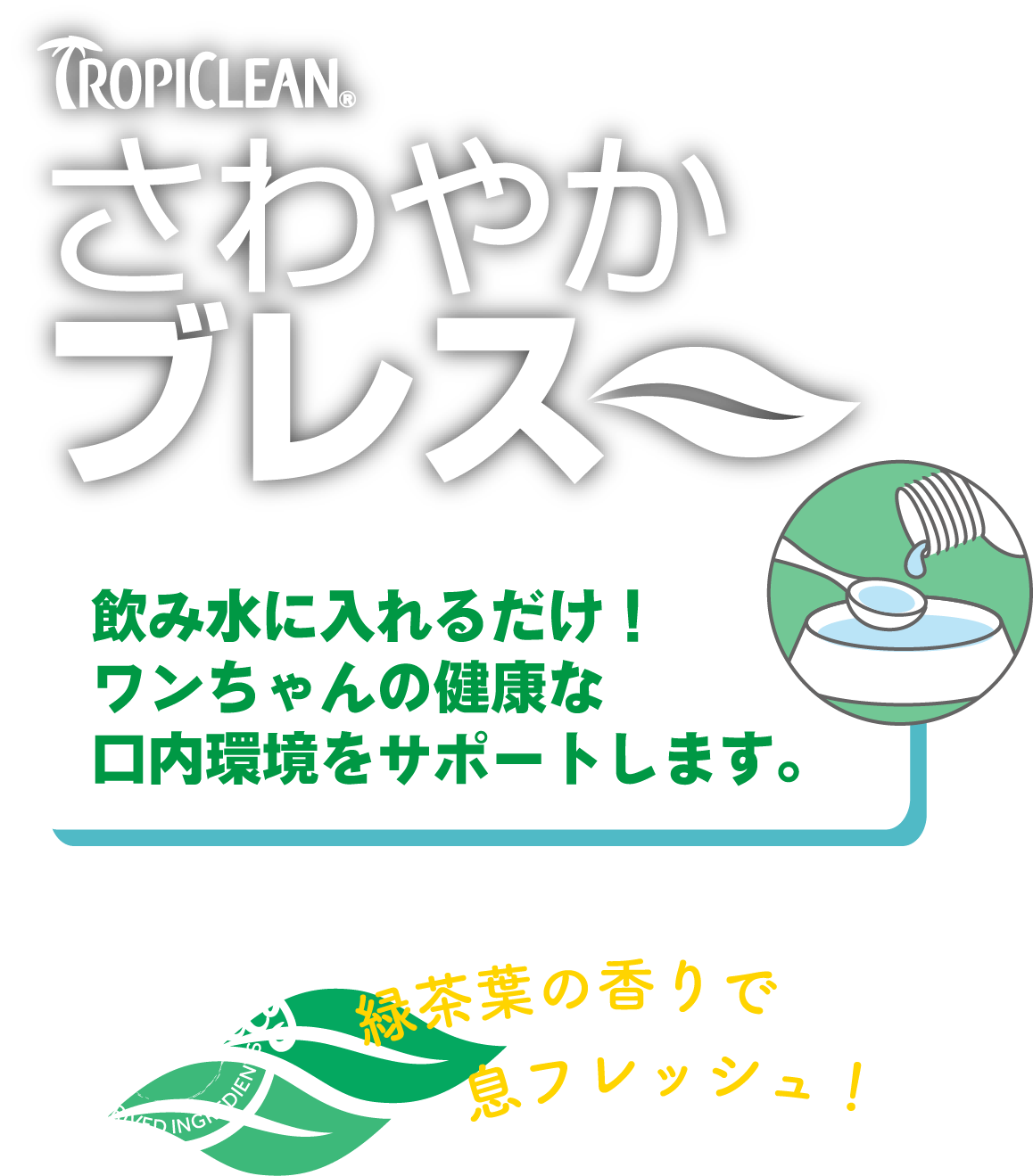 飲み水に入れるだけ！ワンちゃんの健康な口内環境をサポートします。