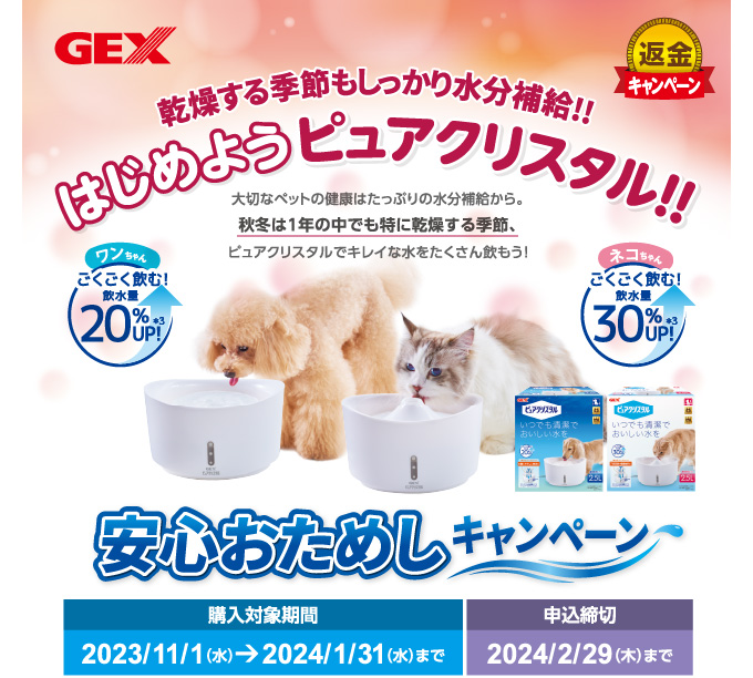 はじめようピュアクリスタルキャンペーン