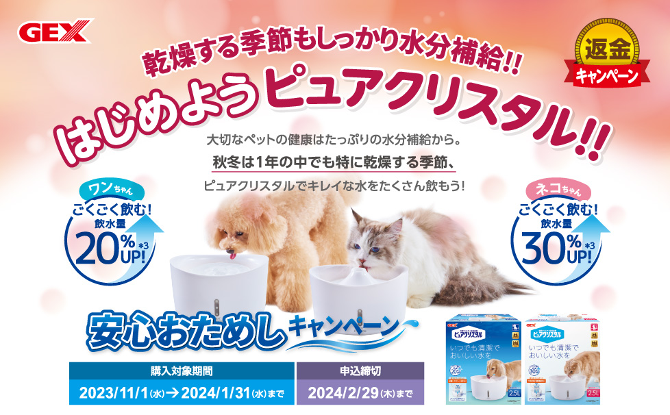 はじめようピュアクリスタルキャンペーン