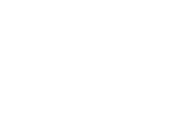 お出かけバギー OSOTOローラー