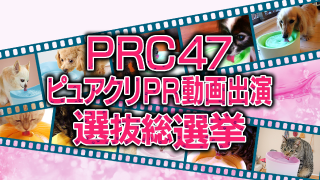 PRC47ピュアクリPR 動画出演選抜総選挙