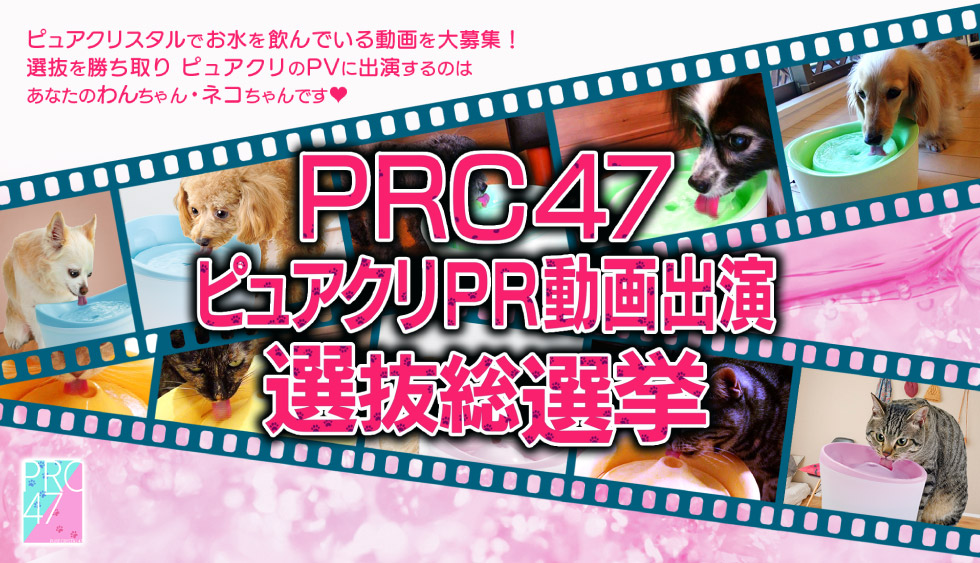 第2回 Prc47ピュアクリpr 動画出演選抜総選挙 結果発表 犬 猫 飼育用品 ジェックス株式会社