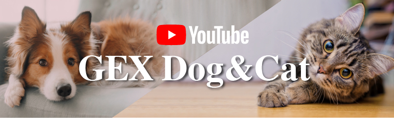 YOUTUBEチャンネル GEX Dog & Cat