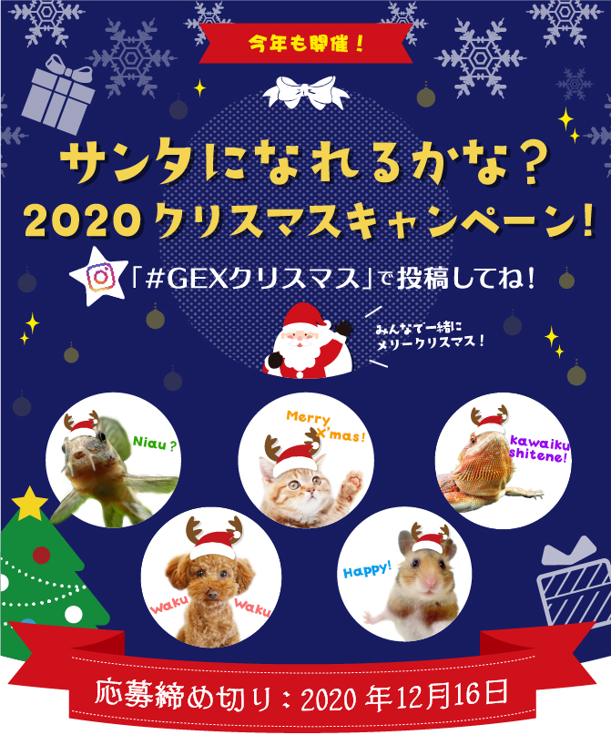 サンタになれるかな クリスマスキャンペーン 観賞魚 小動物 犬 猫 爬虫類 ペット用品 ジェックス株式会社 サンタになれるかな クリスマスキャンペーン 観賞魚 小動物 犬 猫 爬虫類 ペット用品 ジェックス株式会社