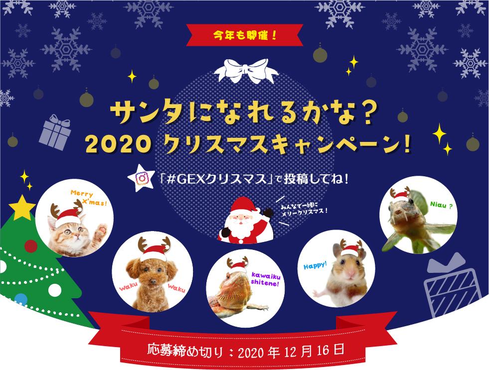 サンタになれるかな クリスマスキャンペーン 観賞魚 小動物 犬 猫 爬虫類 ペット用品 ジェックス株式会社 サンタになれるかな クリスマスキャンペーン 観賞魚 小動物 犬 猫 爬虫類 ペット用品 ジェックス株式会社