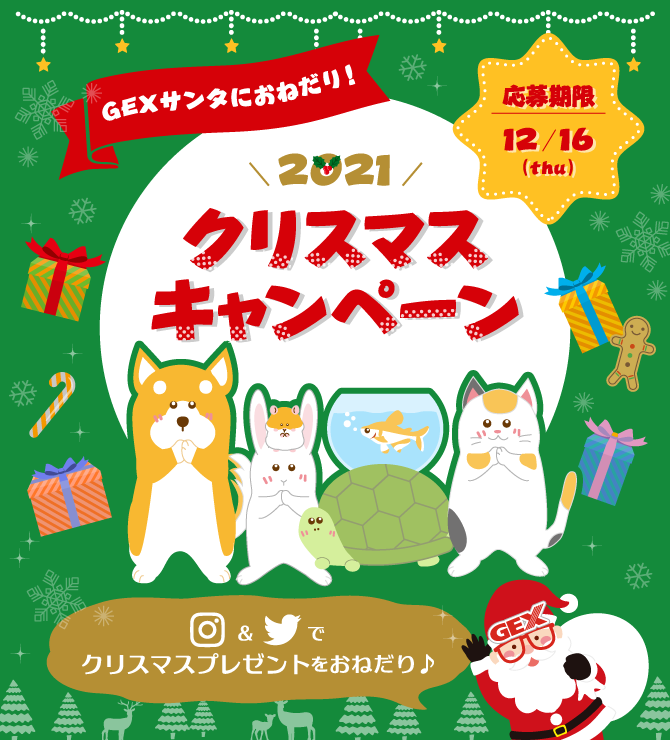 Gex サンタにおねだり 21クリスマスキャンペーン 観賞魚 小動物 犬 猫 爬虫類 ペット用品 ジェックス株式会社