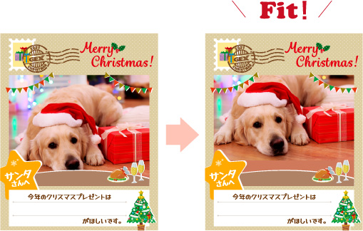 Gex サンタにおねだり 21クリスマスキャンペーン 観賞魚 小動物 犬 猫 爬虫類 ペット用品 ジェックス株式会社