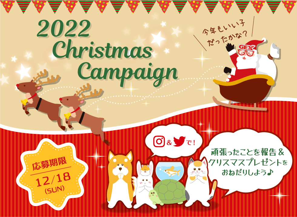 GEXサンタにおねだり！2022クリスマスキャンペーン