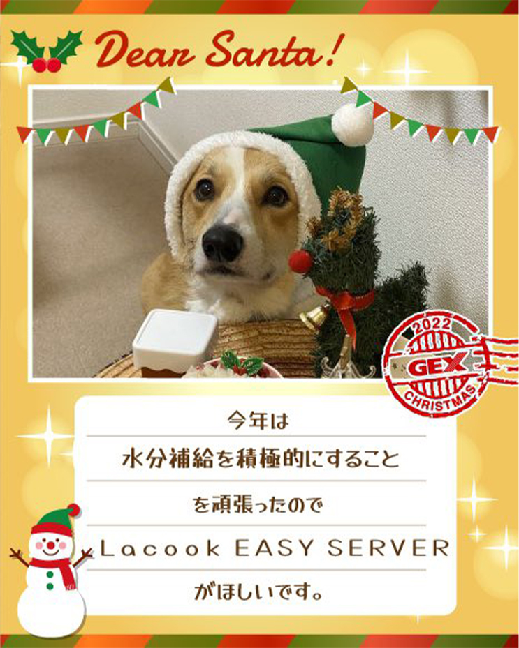 みんなのおねだり画像