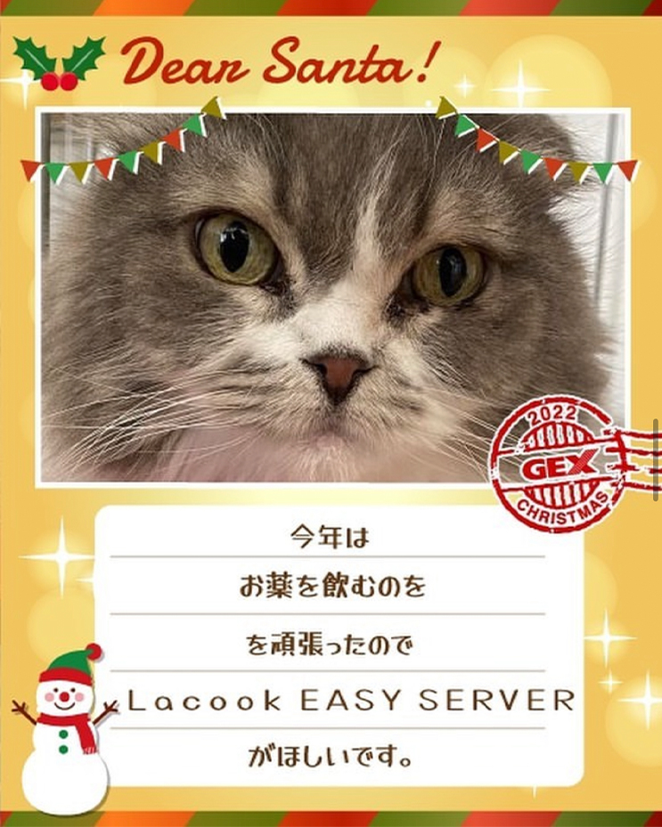 みんなのおねだり画像
