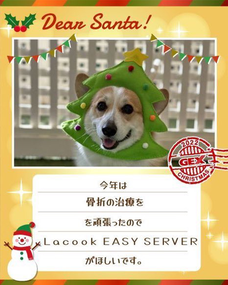 みんなのおねだり画像
