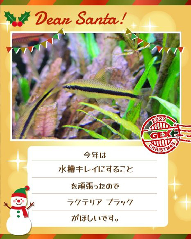 みんなのおねだり画像