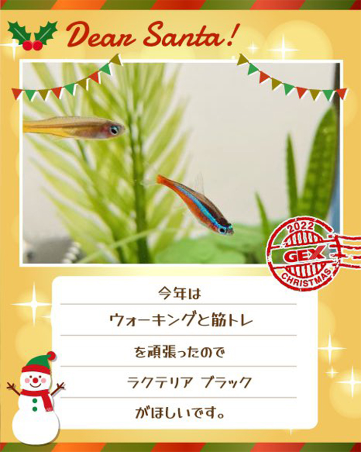 みんなのおねだり画像