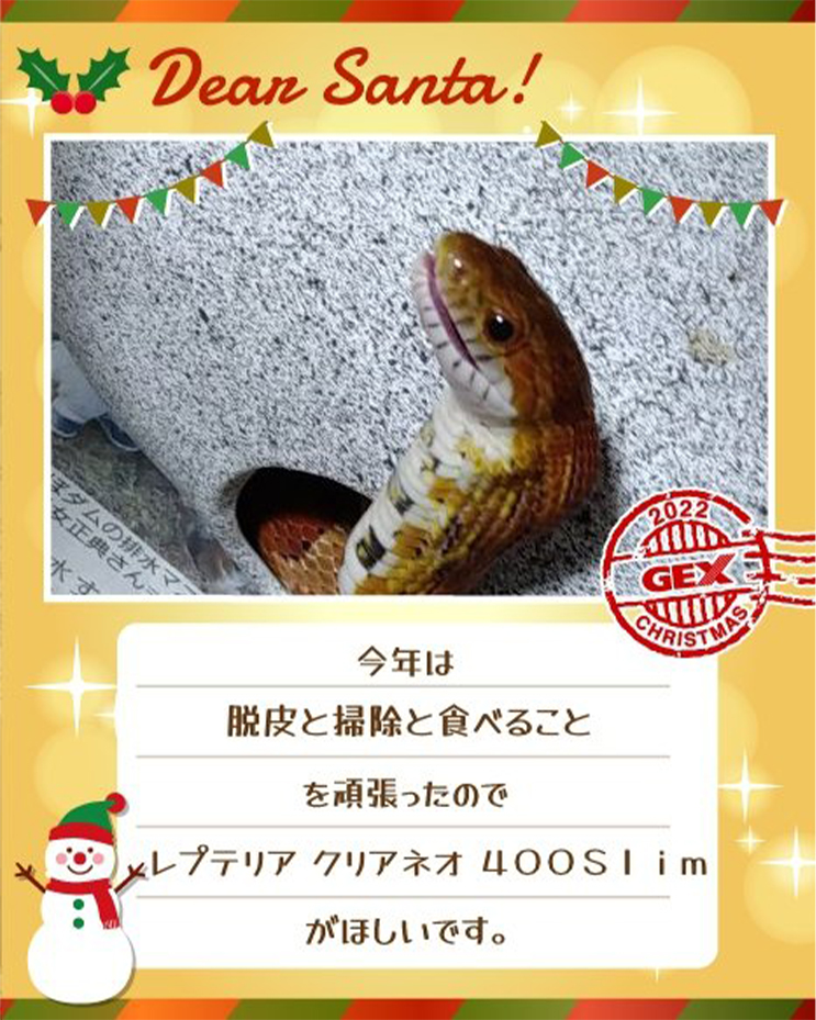 みんなのおねだり画像