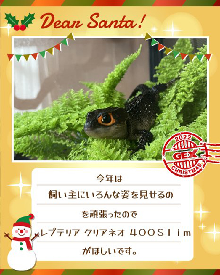 みんなのおねだり画像