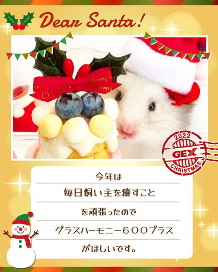 みんなのおねだり画像