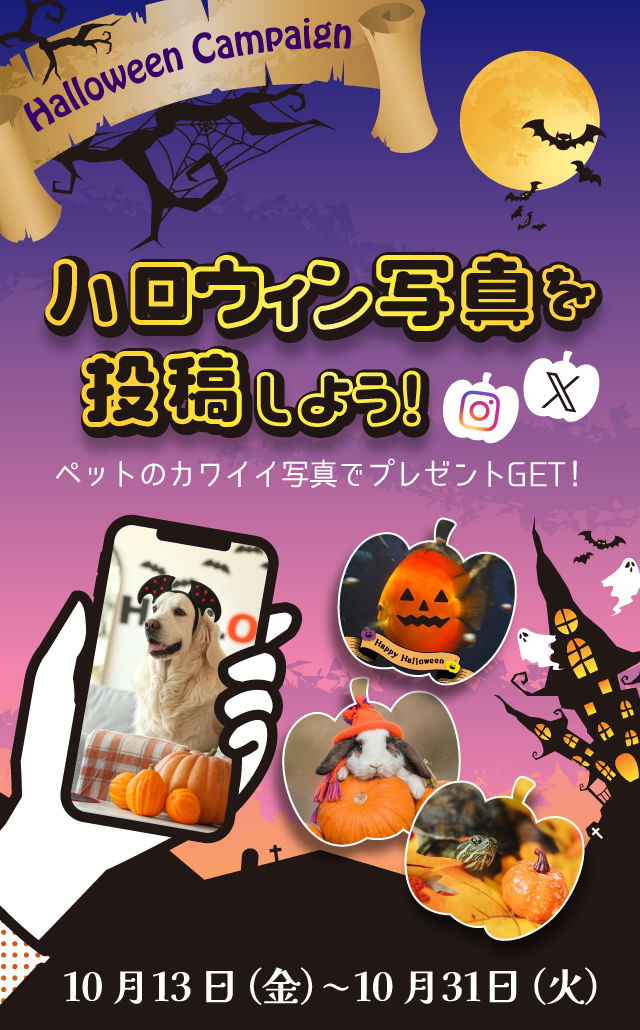 ペットの写真投稿でプレゼントをもらおう！ハロウィンキャンペーン★