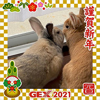 2021年のお正月画像