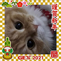 2021年のお正月画像