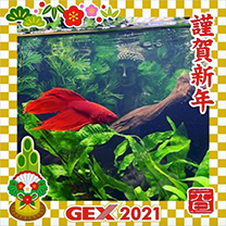 2021年のお正月画像