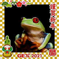 2021年のお正月画像