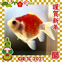 2021年のお正月画像