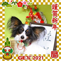2021年のお正月画像