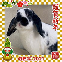 2021年のお正月画像