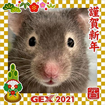 2021年のお正月画像