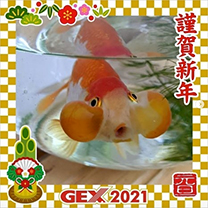 2021年のお正月画像