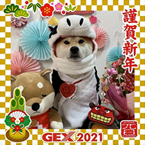 2021年のお正月画像