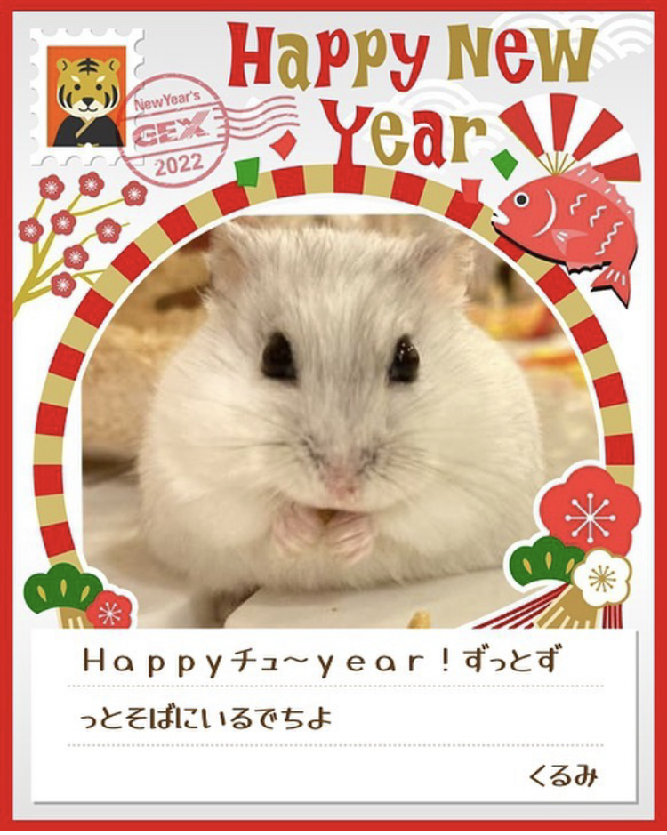 みんなのお正月画像