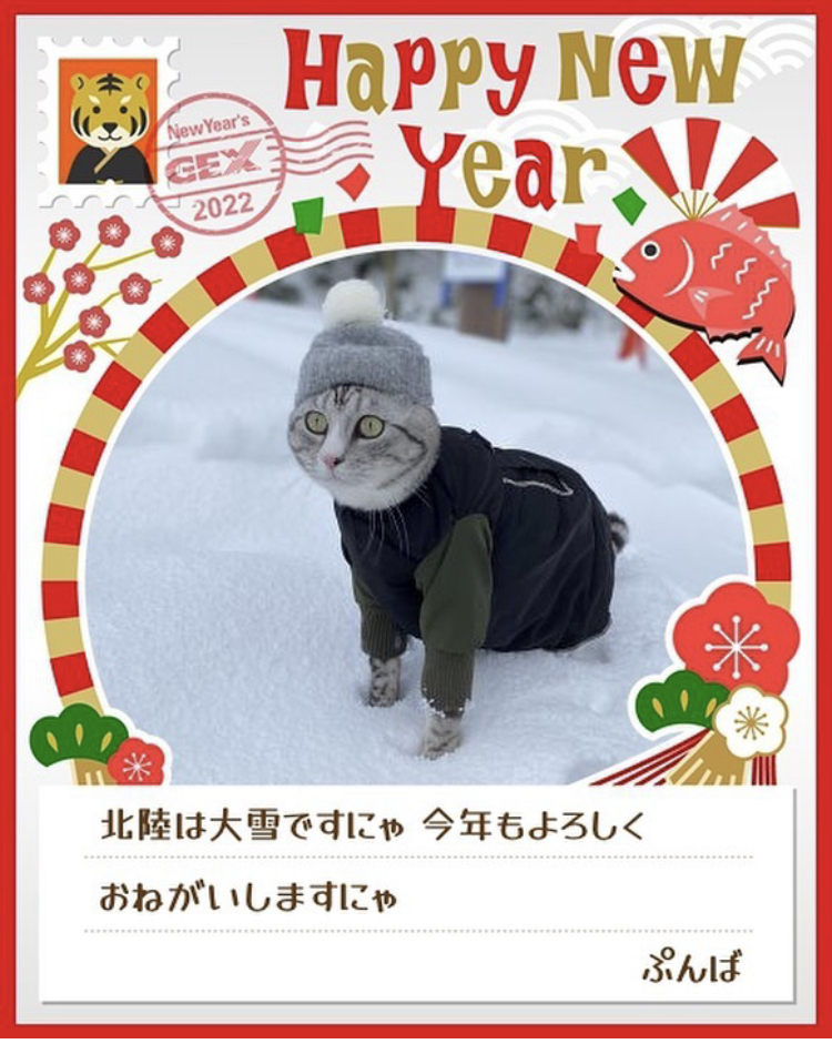 みんなのお正月画像