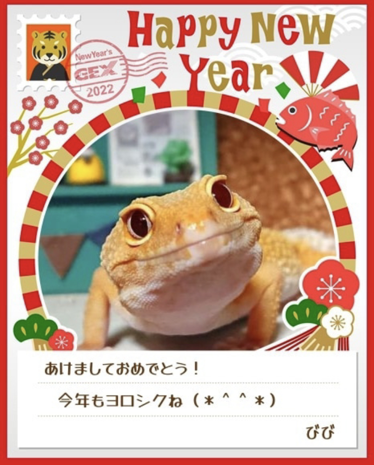 みんなのお正月画像