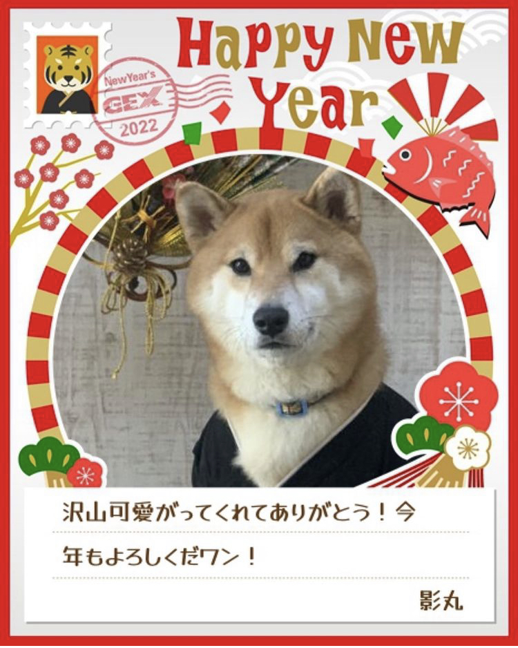 みんなのお正月画像