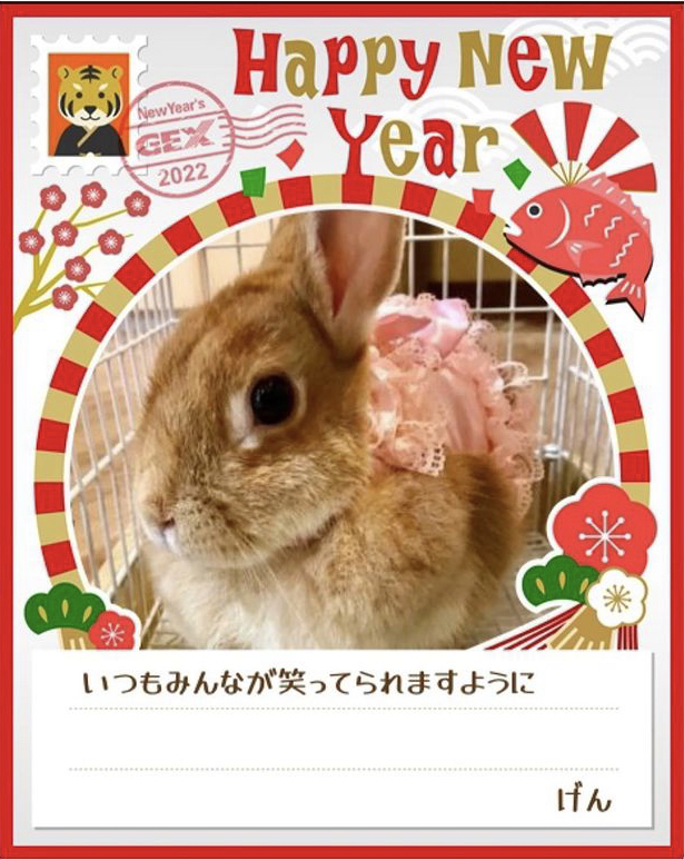 みんなのお正月画像