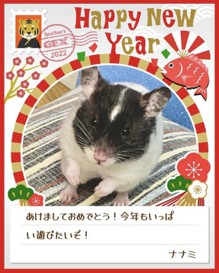 みんなのお正月画像