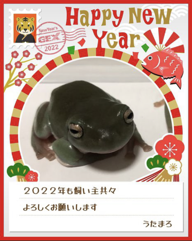 みんなのお正月画像