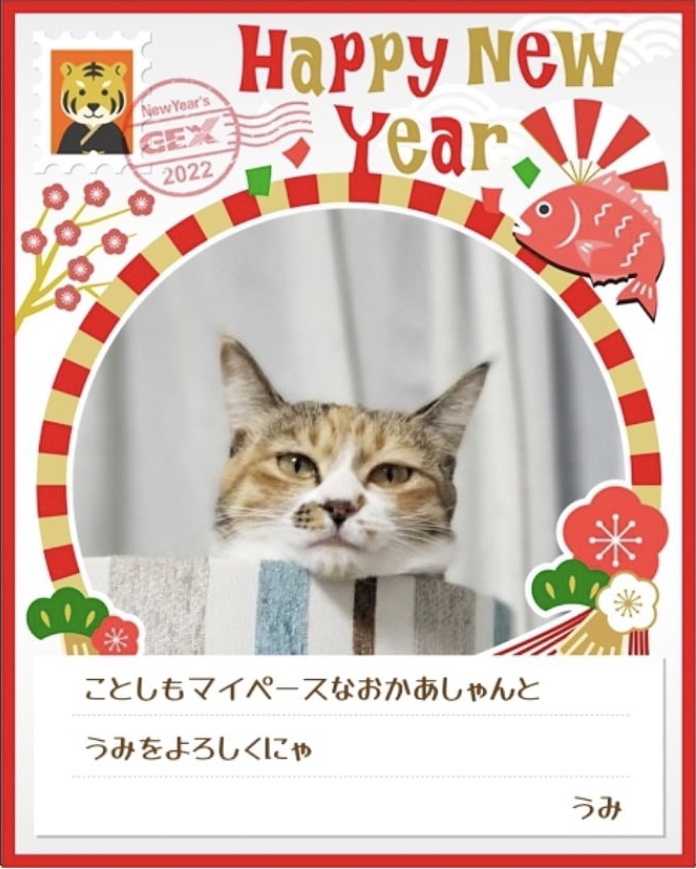みんなのお正月画像