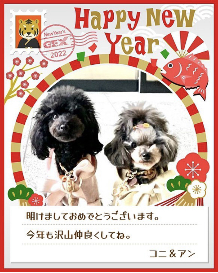 みんなのお正月画像
